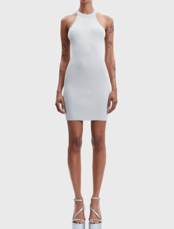 Ashli Metallic Tank Dress