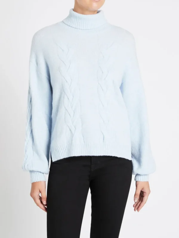 Chow Turtleneck Sweater